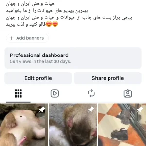 فروش پیج ۶۶ کا با ویو میلیونی با موضوع حیوانات